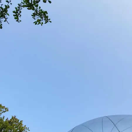 Luxe tent Les Bulles Du Coq De Champagne *